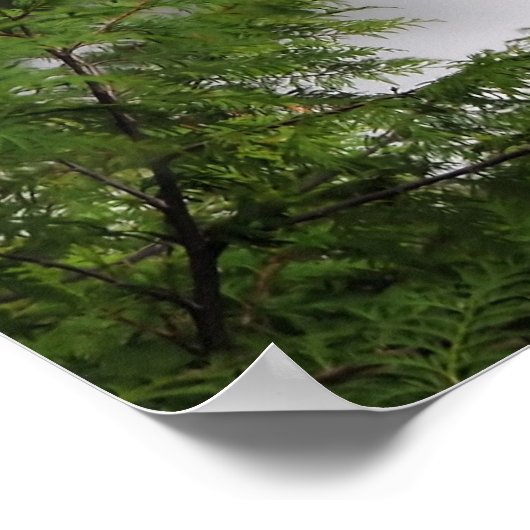 秋クリーク滝 ポスター (角)