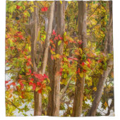 秋クレープマートルの木 シャワーカーテン (正面)