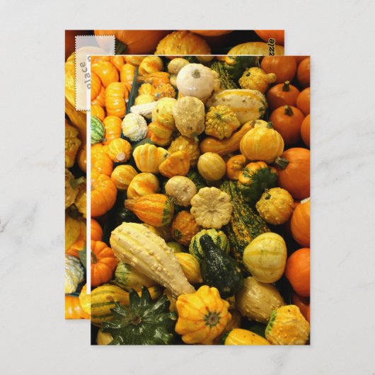 秋グルズ ポストカード (正面/裏面)