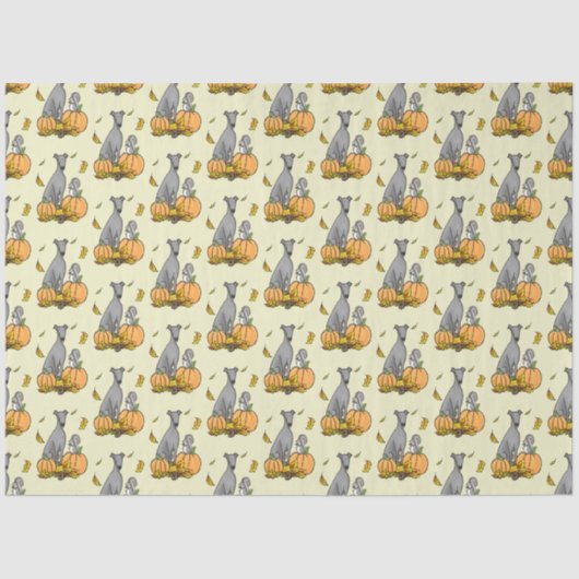 秋グレイハウンド(グレー)ドッグパンプキ葉ンおもしろいズ 薄葉紙 (正面)