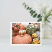 秋コニコピア ポストカード (スタンド正面)