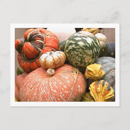 秋コニコピア ポストカード (正面)