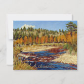 秋コロラドかわいらしマウンテンストリーム (正面)