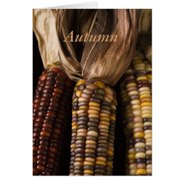 秋コーンハーベスト (正面)