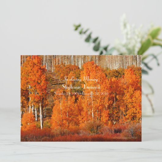 秋ゴールデンオレンジ《植物》アスペンお祝いオブライフ 招待状 (スタンド正面)