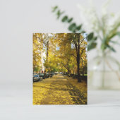 秋ザパークハガキ ポストカード (スタンド正面)