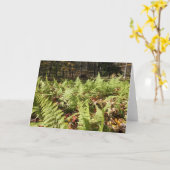 秋シダ カード (黄色い花)