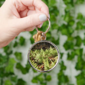 秋シダ キーホルダー (手)