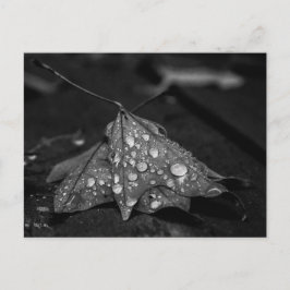 秋シャワー ポストカード