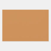 秋シンプル色無地の平銅 ラッピングペーパーシート (正面)