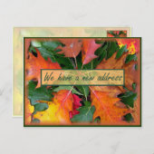 秋シーズンオーク離れズ移動 案内ポストカード (正面/裏面)