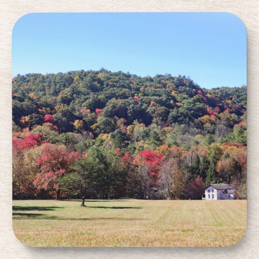 秋シーンコースター コースター (正面)