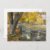 秋シーン（木と石の壁） ポストカード (正面/裏面)