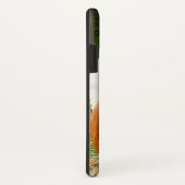 秋シーン – 黄色のオレンジ色のタムを持つカボチャ Case-Mate iPhoneケース (裏面/右)