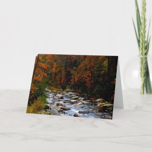 秋ストリーム空白のグリーティングカード カード (正面)