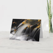 秋ストリーム:の学春 カード (正面)