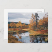 秋セレナーデフィンランドルスカリフレクション ポストカード (正面/裏面)