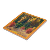 秋タマラク タイル (側面)