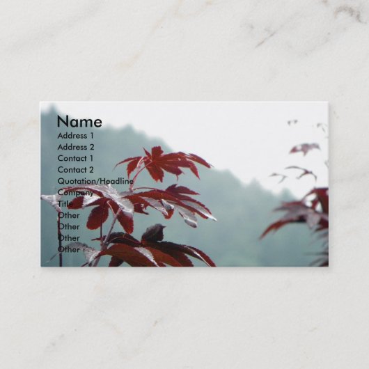 秋ダイアログのプロフィールカード 名刺 (正面)