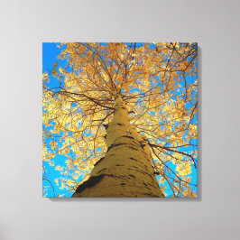 秋ダウン見て！ キャンバスプリント