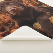 秋チョコレートラボカップ シェルパブランケット (3/4)