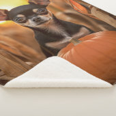 秋チワワ シェルパブランケット (3/4)