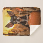 秋チワワ シェルパブランケット (正面(横))