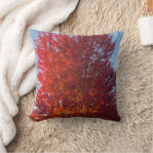 秋ツリー写真 | クッション (ブランケット)