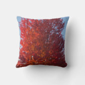 秋ツリー写真 | クッション (裏面)