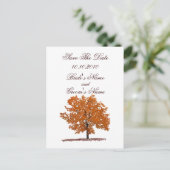 秋ツリー日付はがきを保存する。 案内ポストカード (スタンド正面)