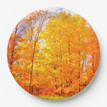 秋ツリー秋の色/感謝祭