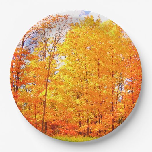 秋ツリー秋の色/感謝祭 ペーパープレート (正面)