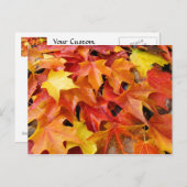 秋ツリー離れのポストカーカラフルド紅葉 ポストカード (正面/裏面)