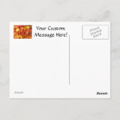 秋ツリー離れのポストカーカラフルド紅葉 ポストカード (裏面)