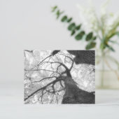 秋ツリー（白黒） ポストカード (スタンド正面)