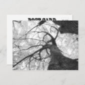 秋ツリー（白黒） ポストカード (正面/裏面)