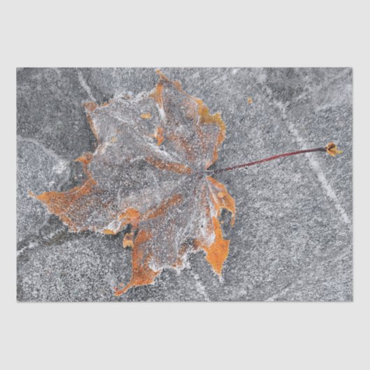 秋テーマメープルリーフオレンジグレーオータム 薄葉紙 (正面)