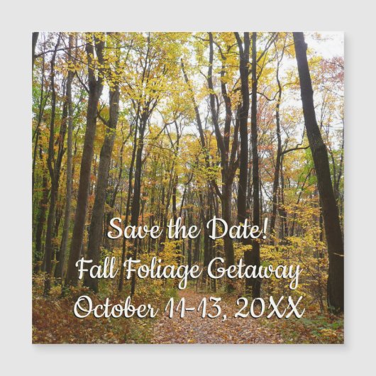 秋トレイルとゴールデン葉ズアットローレルヒルパーク (正面)