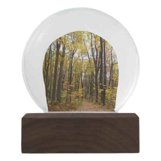 秋トレイルとゴールデン葉ズアットローレルヒルパーク スノーグローブ (正面)