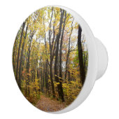 秋トレイルとゴールデン葉ズアットローレルヒルパーク セラミックノブ (右)