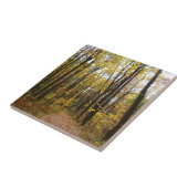 秋トレイルとゴールデン葉ズアットローレルヒルパーク タイル (側面)