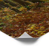 秋トレイルとゴールデン葉ズアットローレルヒルパーク ポスター (角)