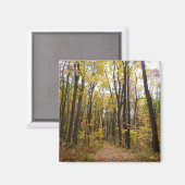 秋トレイルとゴールデン葉ズアットローレルヒルパーク マグネット (正面/裏面)