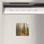 秋トレイルとゴールデン葉ズアットローレルヒルパーク マグネット (インサイチュ (食洗機))