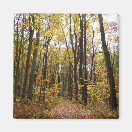 秋トレイルとゴールデン葉ズアットローレルヒルパーク マグネット (正面)