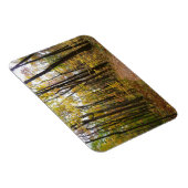 秋トレイルとゴールデン葉ズアットローレルヒルパーク マグネット (右側)