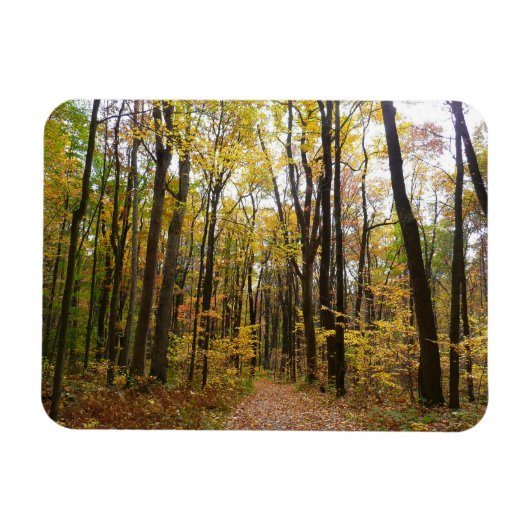 秋トレイルとゴールデン葉ズアットローレルヒルパーク マグネット (横)