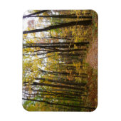 秋トレイルとゴールデン葉ズアットローレルヒルパーク マグネット (縦)