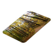 秋トレイルとゴールデン葉ズアットローレルヒルパーク マグネット (左側)