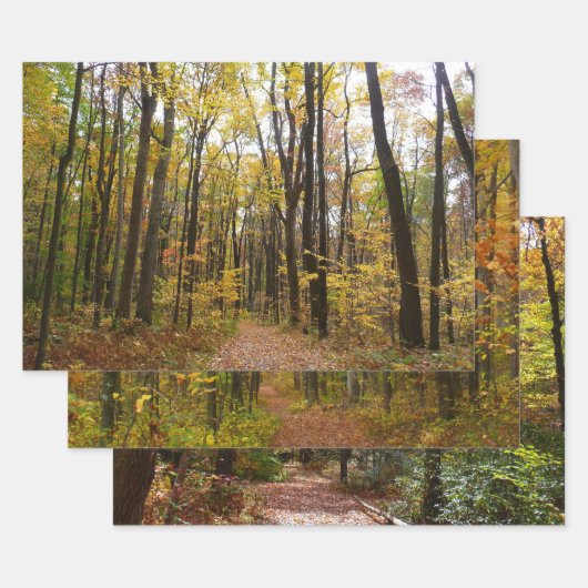 秋トレイルとゴールデン葉ズアットローレルヒルパーク ラッピングペーパーシート (セット)